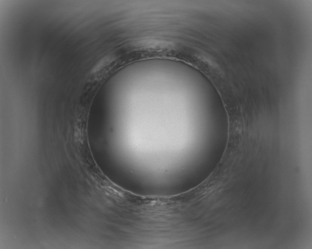 X0000067920869200604201428