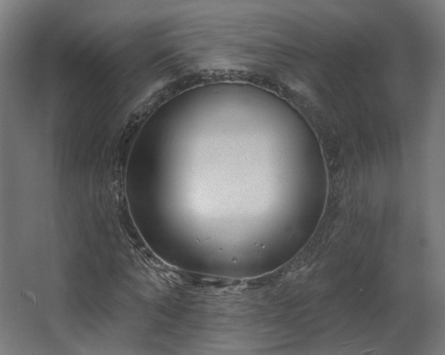 X0000067920870200604201428