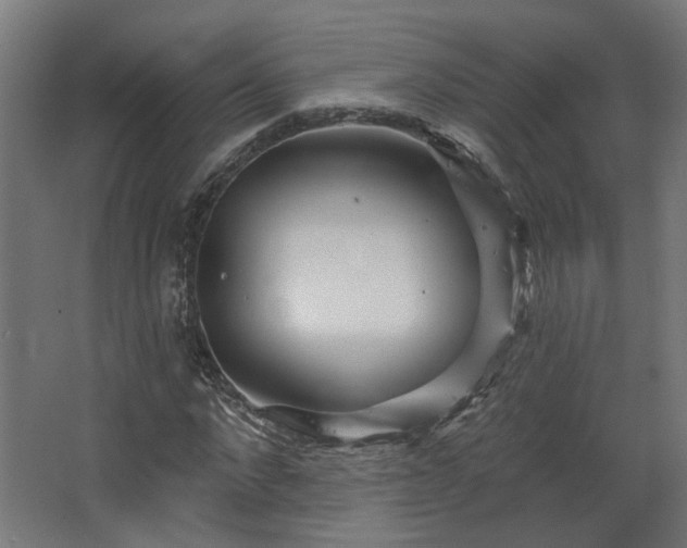 X0000067920872200604201428