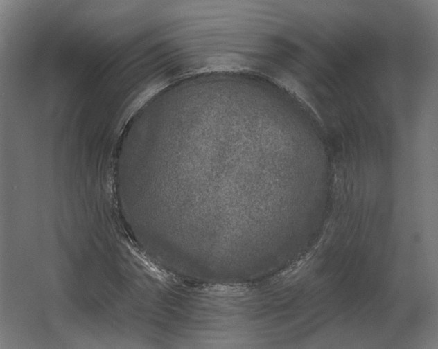 X0000067920874200604201428
