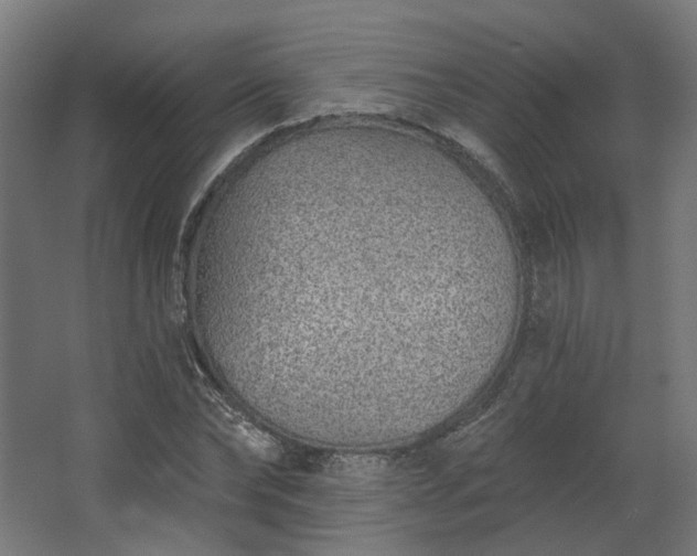 X0000067920878200604201428