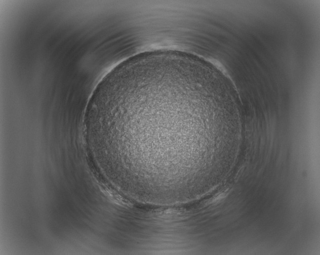 X0000067920879200604201428