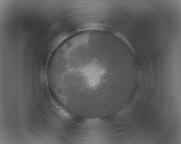 X0000067920882200604201427