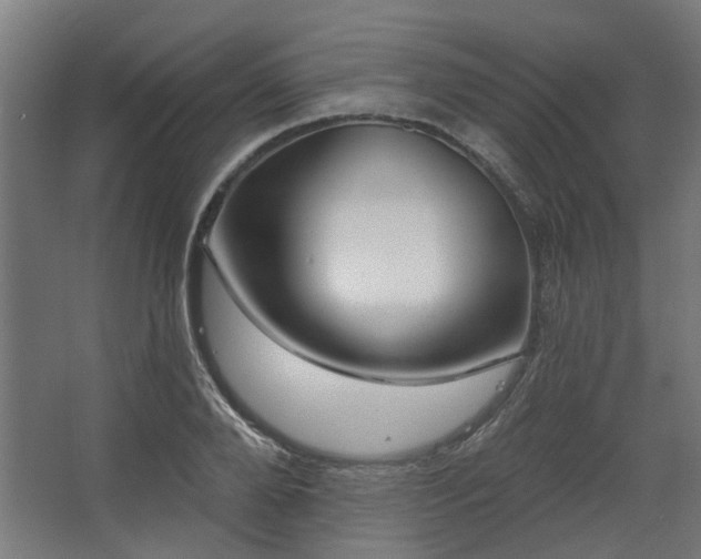 X0000067920888200604201427