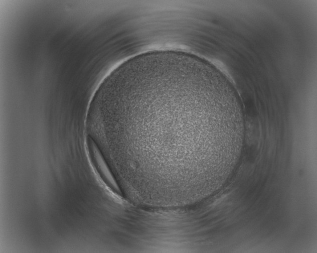 X0000067920895200604201427