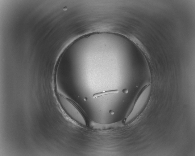 X0000067920904200604201427