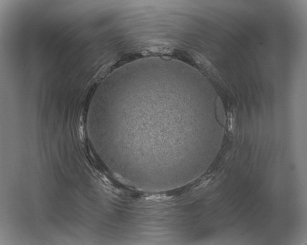 X0000067920915200604201426