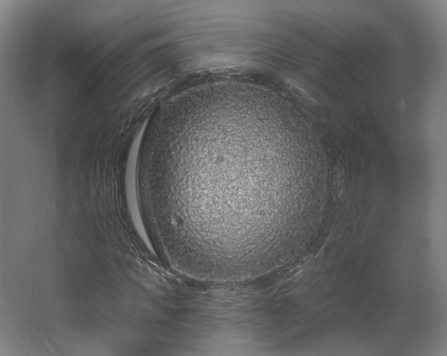 X0000067920917200604201426