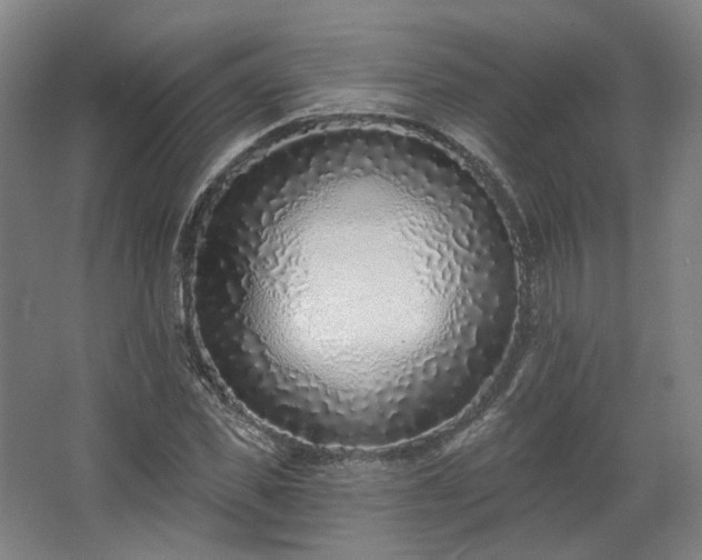 X0000067920925200604201426