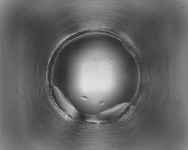 X0000067920932200604201426