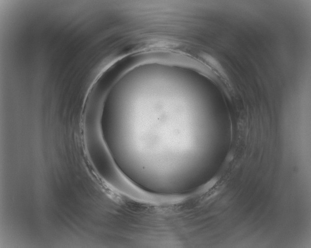 X0000067920948200604201427