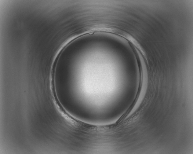 X0000067920955200604201427