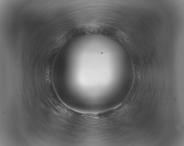 X0000067920964200604201426