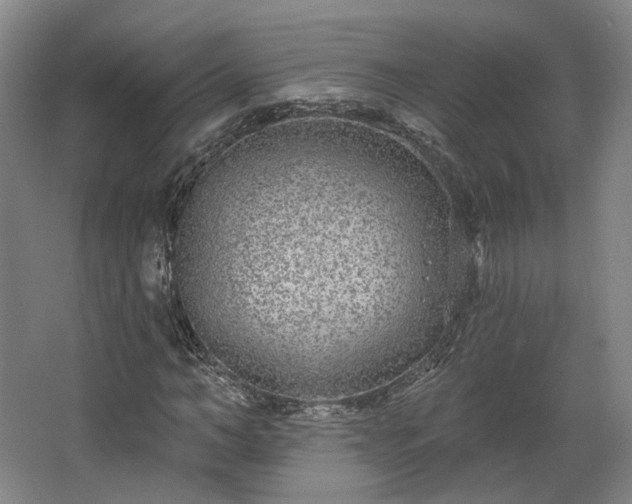 X0000067920966200604201426