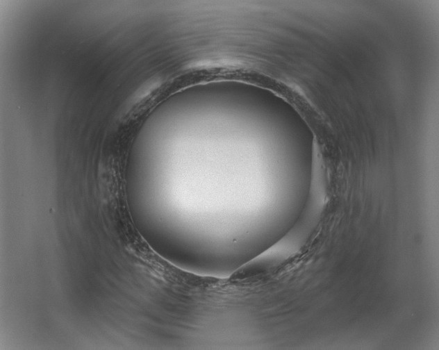 X0000067920967200604201426