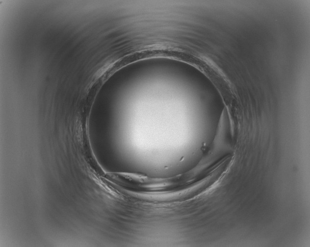 X0000067920969200604201426