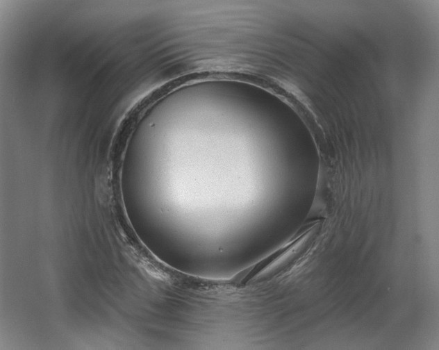 X0000067920971200604201426