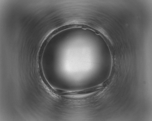 X0000067920972200604201426