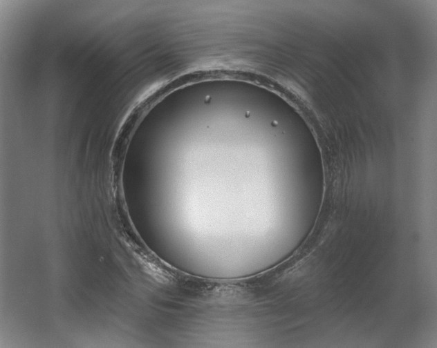 X0000067920974200604201426