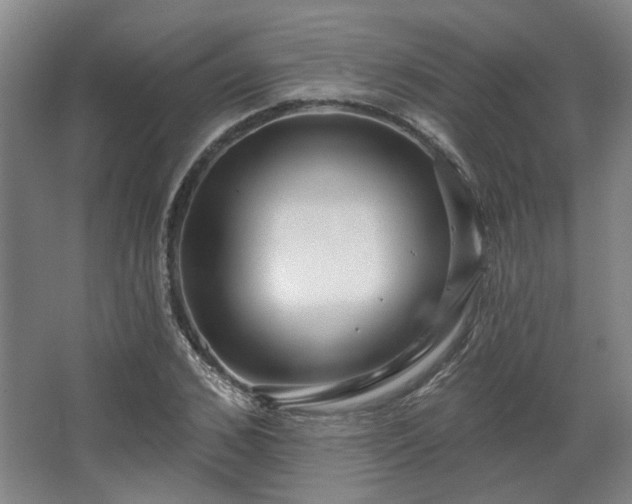 X0000067920976200604201426