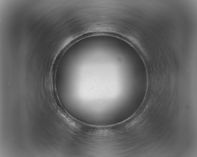 X0000067920982200604201426