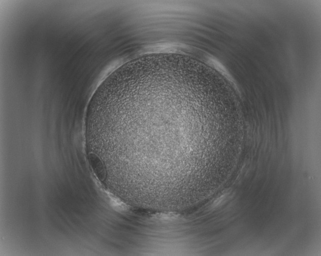 X0000067920994200604201426