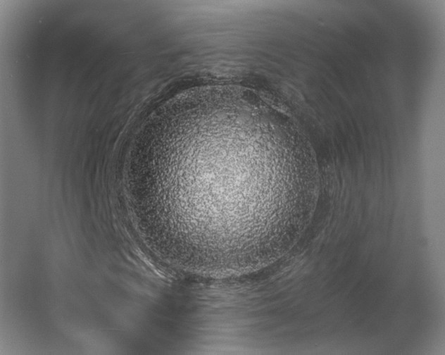 X0000067921009200604201425