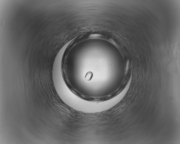 X0000067921010200604201425