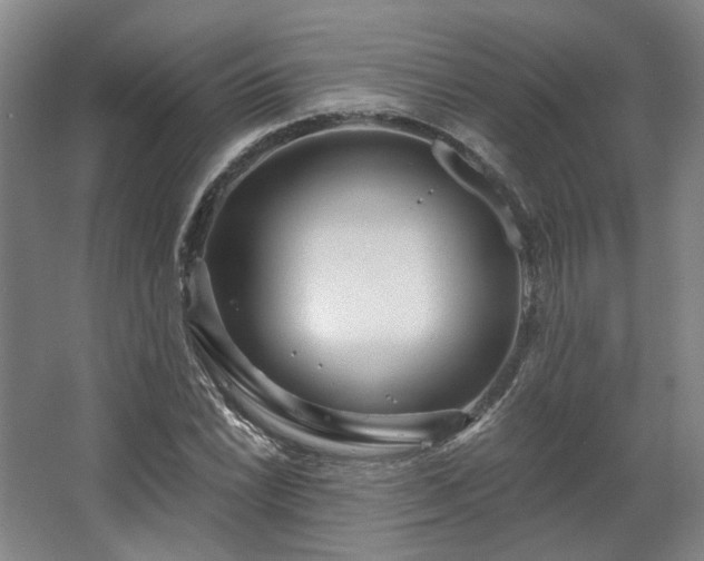 X0000067921022200604201425