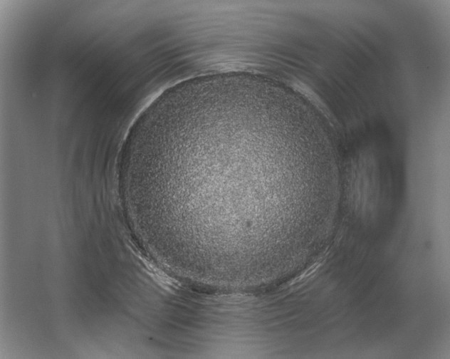 X0000067921023200604201425