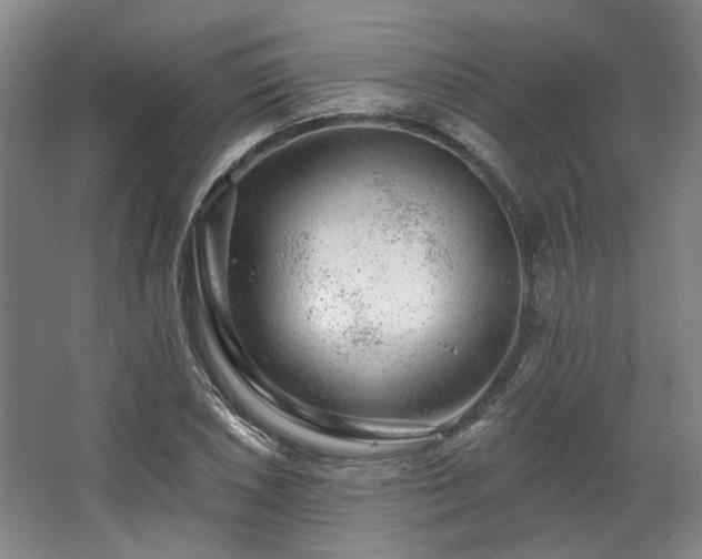 X0000067921026200604201425