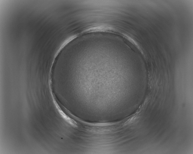 X0000067921042200604201425
