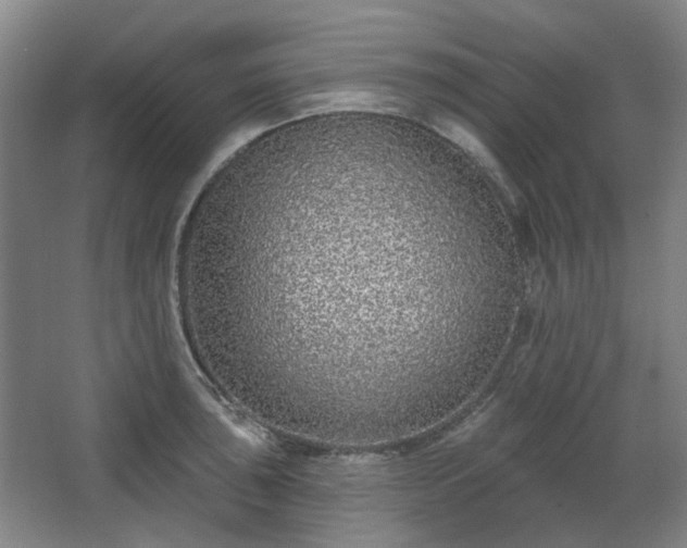 X0000067921043200604201425