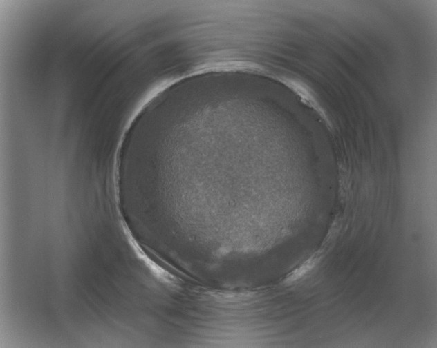 X0000067921046200604201425