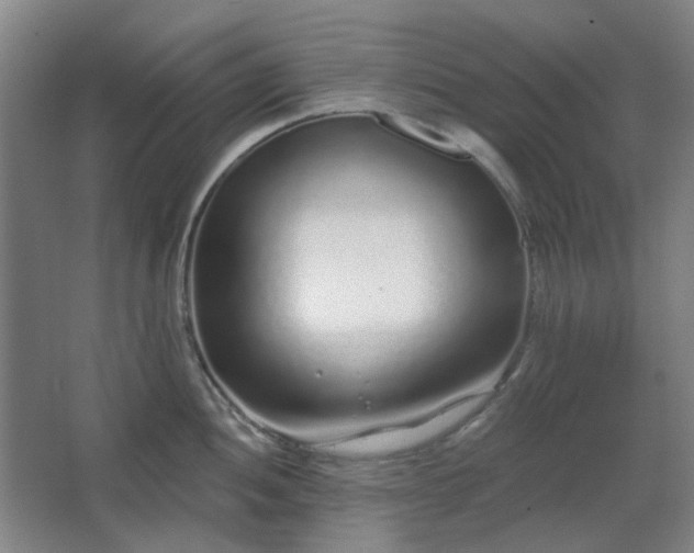 X0000067921052200604201425