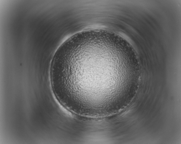 X0000067921055200604201425