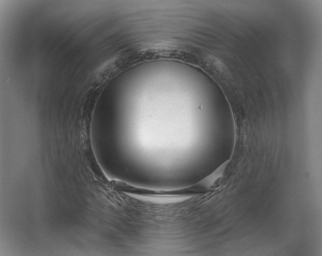 X0000067921062200604201424