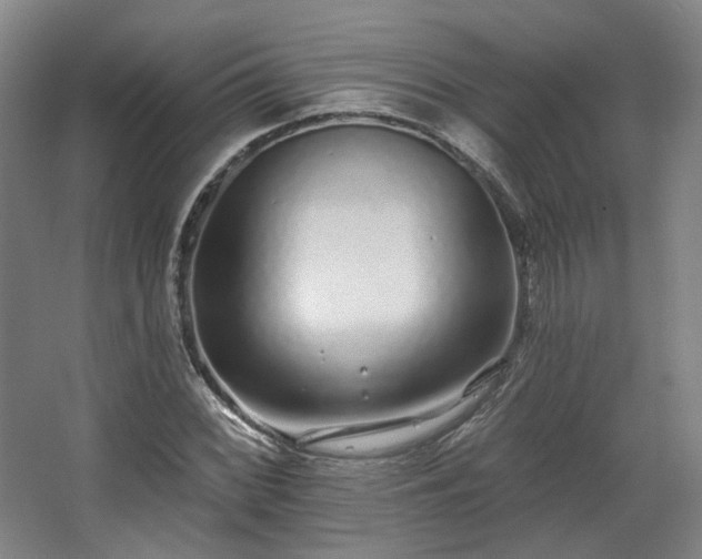 X0000067921068200604201424