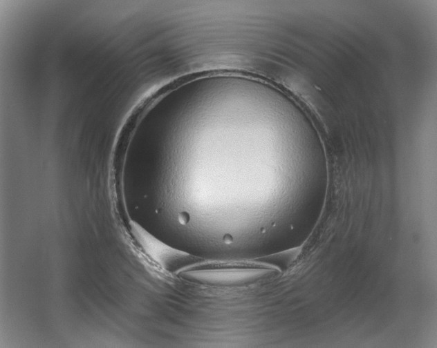 X0000067921072200604201424