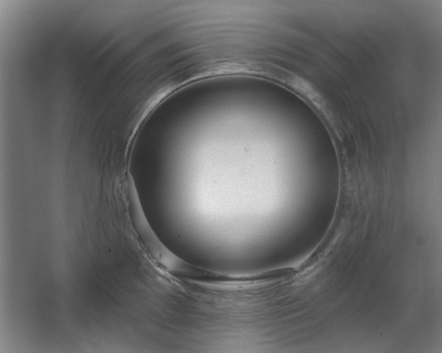 X0000067921097200604201424