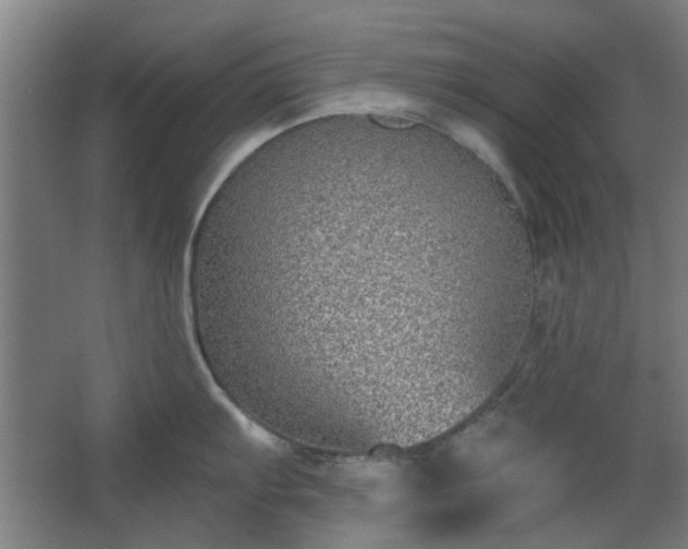 X0000067921103200604201424