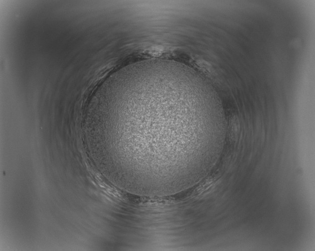X0000067921105200604201423