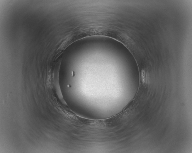 X0000067921107200604201423