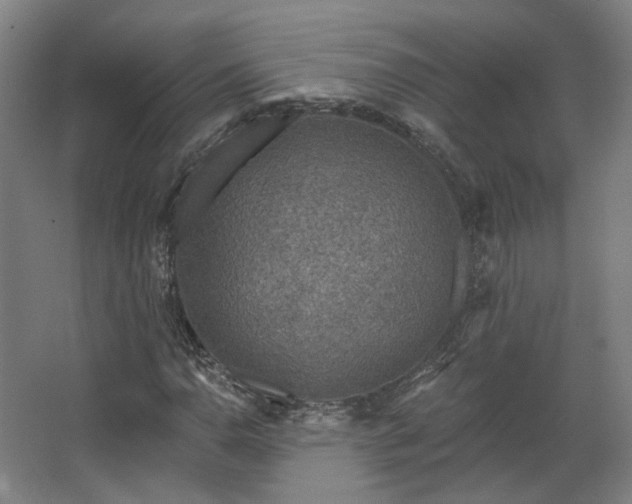 X0000067921110200604201423