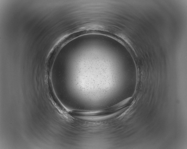 X0000067921115200604201423