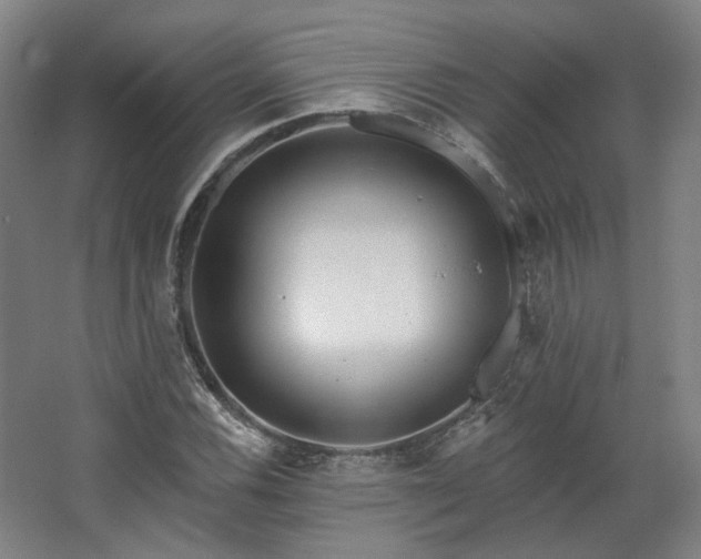 X0000067921116200604201423