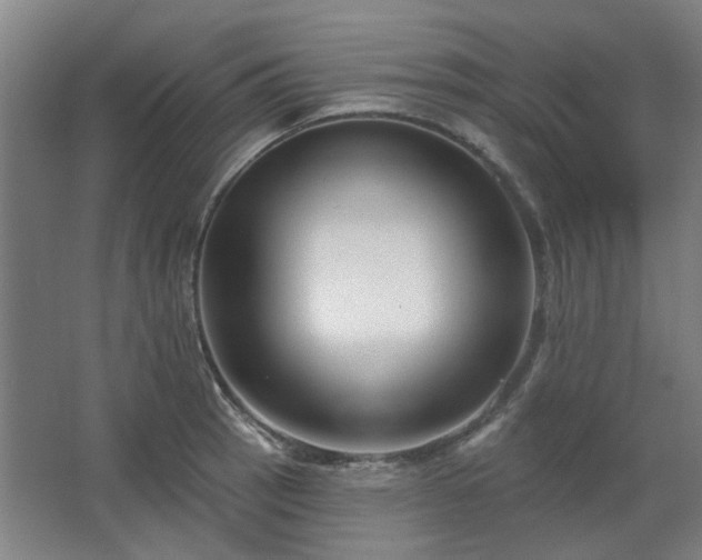 X0000067921137200604201423