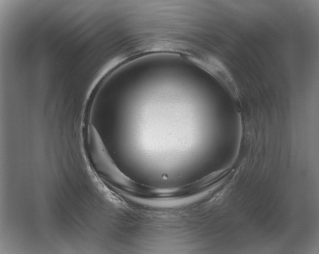 X0000067921138200604201423