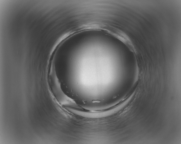 X0000067921146200604201424
