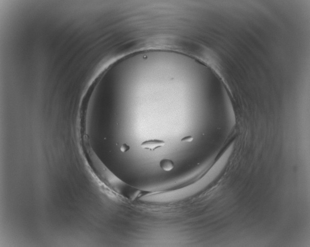 X0000067921147200604201424